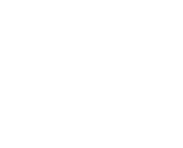 Evo Logo